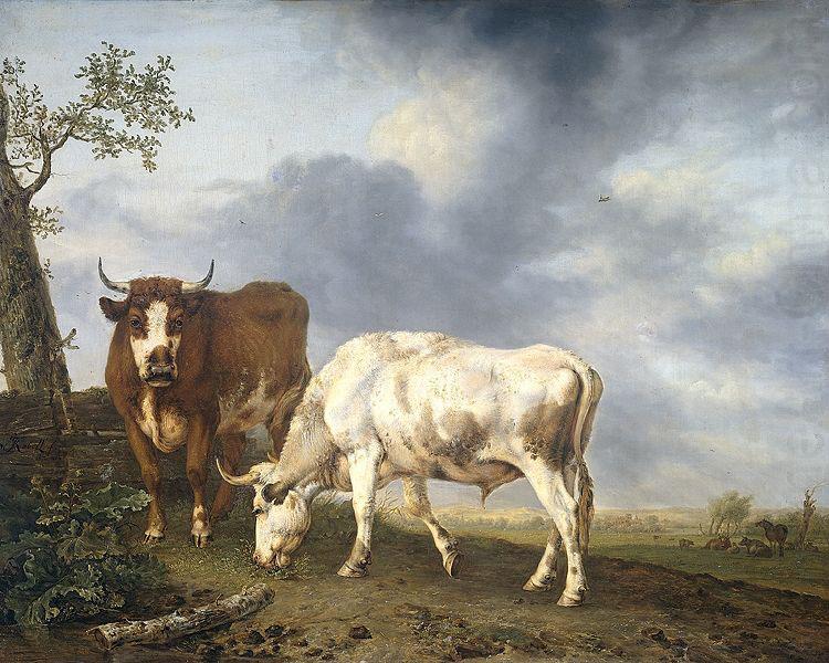 Jan Kobell Oxen in the meadow oil painting picture